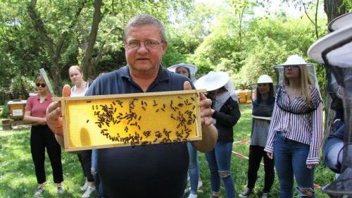 hlw19_bienen-20180424-ggf005-img_3596