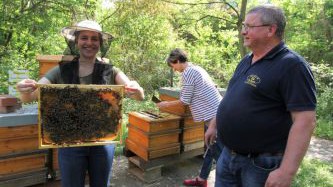 hlw19_bienen-20180424-ggf015-img_3623b