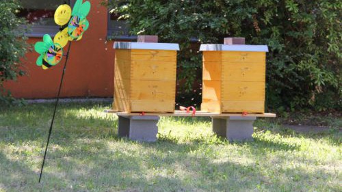 hlw19_bienen-20180507-ggf015-img_3705