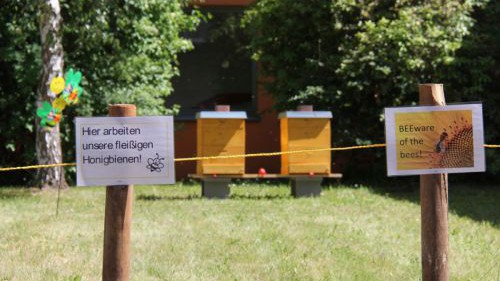 hlw19_bienen-20180507-ggf018-img_3720