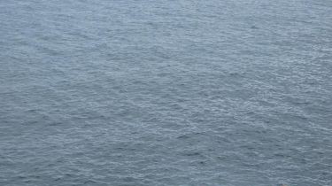 shared-image-blackroack-looking-out-at-sea shared-image-blackroack-looking-out-at-sea